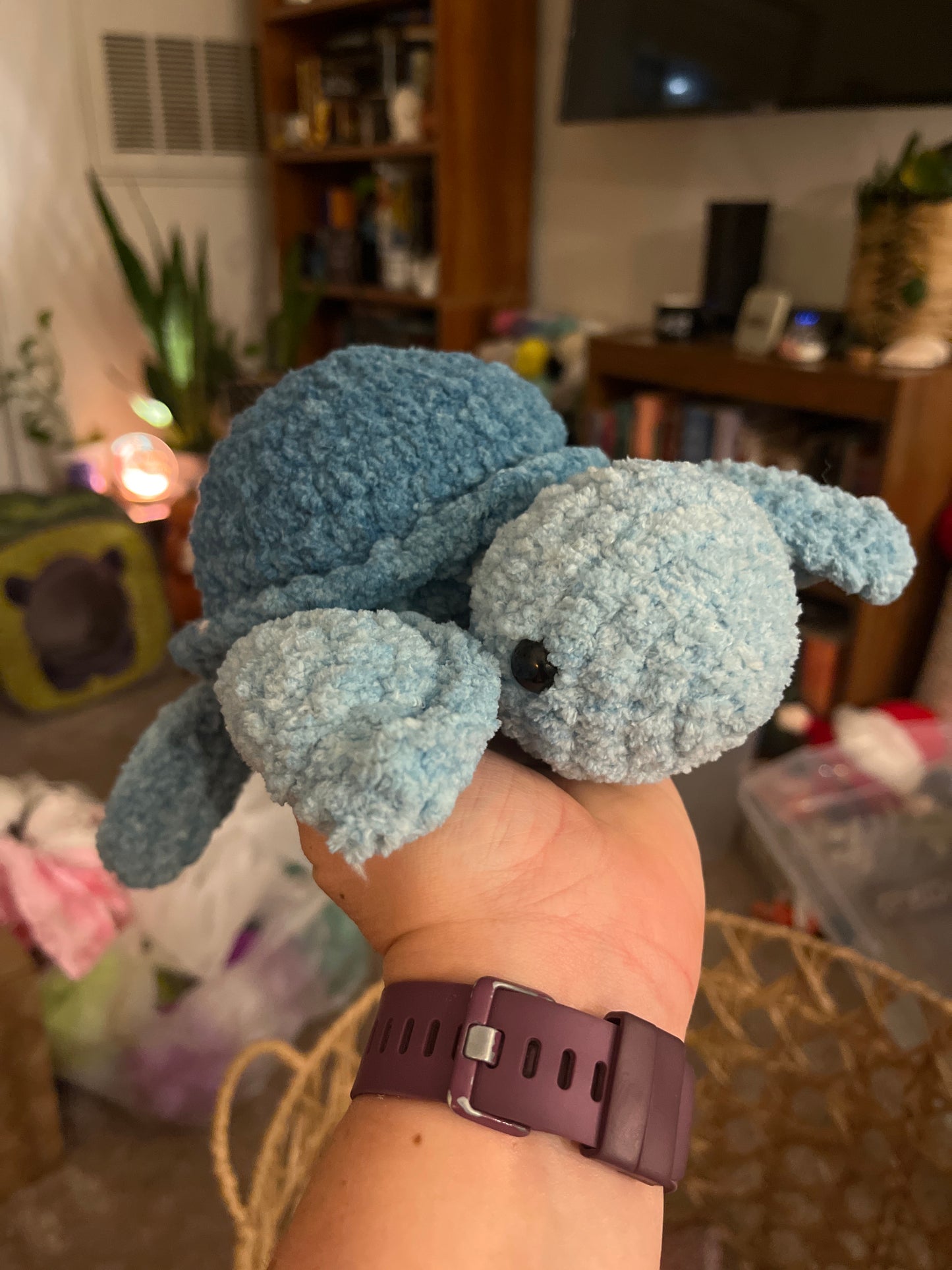 Sea turtle