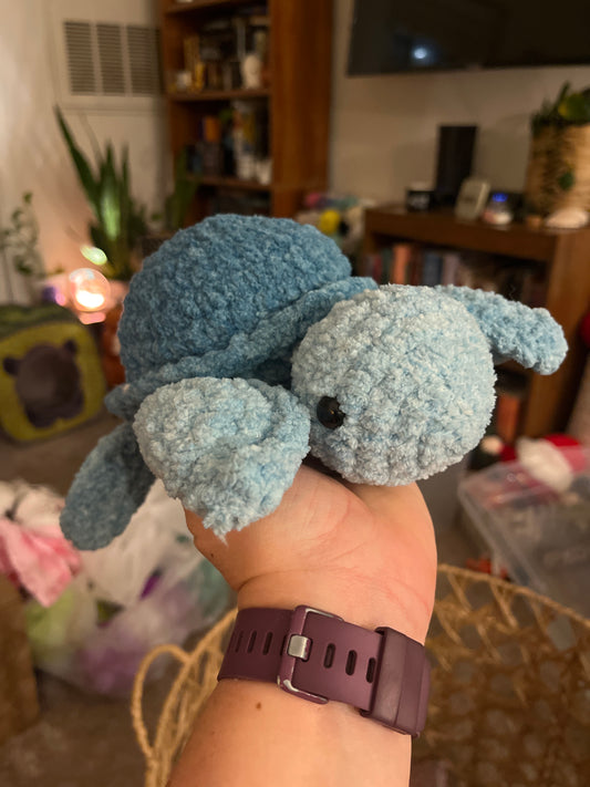 Sea turtle